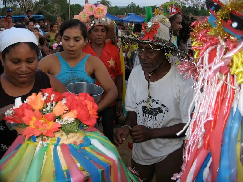 Matança do boi-bumbá Pai-do-Campo, de Ourém, em 2006