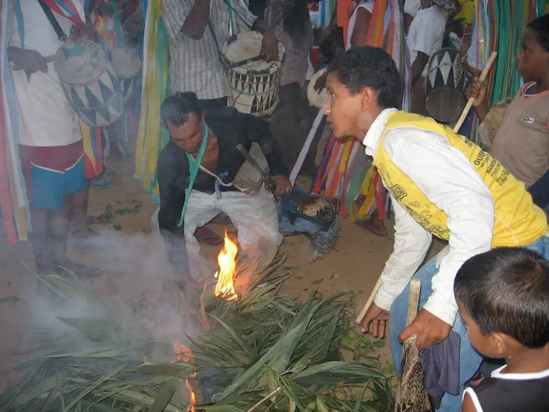 Matança do boi-bumbá Pai-do-Campo, de Ourém, em 2006